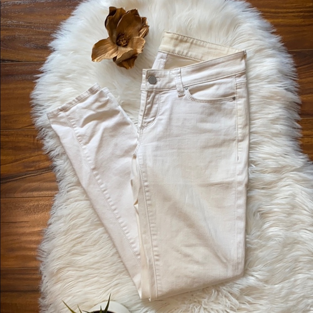 Ann Taylor pant